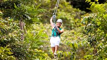 Canopy Countryside Private Day Trip Tour From Montego Bay