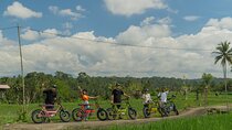 Half-Day Electric Fat Bike Tour of Ubud 