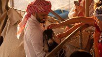 Arabian Bedouin Traditional Savvy