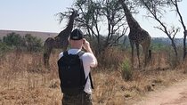 Hiking In the Magaliesberg,Wildlife hike an hour fromJohannesburg