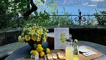 Guided tour of the history and tradition of the Sorrento lemon