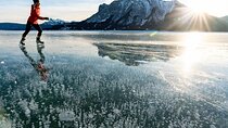 Icefields Parkway & Ice Bubbles of Abraham Lake Adventure