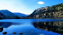 Private 8-hour Tour to Glendalough and Wicklow from Dublin