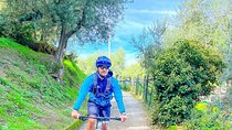 Oil and Lemon - Sorrento e-Bike Tour Experience
