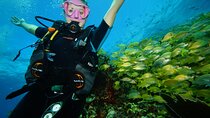 Two Reefs For Certified Divers in Cancun
