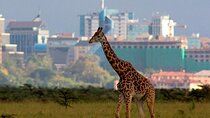 Nairobi National Park Group Shared Tour