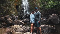 Waterfall Hike in Hawai'i Rainforest Trail