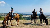 Visit a Farm and Horseback Riding in Nature