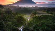 Selogriyo Temple and Trekking Java Rice Terraces, hidden waterfall -Nature Java 