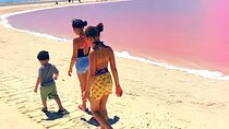 Pinktastic Lagoon Adventure Las Coloradas & Rio Lagartos from Cancun 