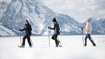 4 hour Snowshoe in Grand Teton National Park