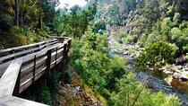 Walkways of the Paiva River and 516 Arouca bridge Walking