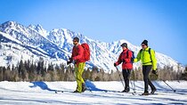 4 Hour Beginner Cross Country Skiing in Grand Teton