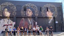 Los Angeles Arts District Bike Tour