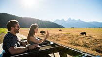 Private Sunset 4-Hour Grand Teton Wildlife Adventure