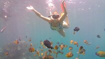 Nusa Penida Private Snorkeling Tour with West Island Trip