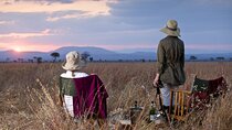 11-Day The Hidden Safari Treasures of Africa Private Guided Tour