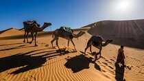 4 Day Private Desert to Merzouga from Marrakech