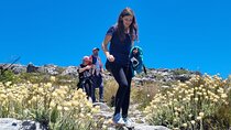 BEST of Table Mountain! Exhilarating Full-day Guided Hike