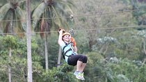 Zip Line From Puerto Plata