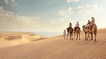 Doha Layover Desert Safari, Camel Ride, Sand Boarding, Inland Sea