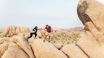 Joshua Tree Full Day Private Tour & Hike