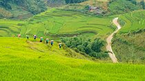 Sapa Trekking & Homestay 2 Days 1 Night