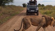 Nairobi National park private day tour