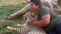 The Cheetah Experience
