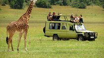 3 Days Masai Mara Budget Camping Safari on 4X4 Land Cruiser