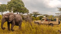 4 Days Selous Game Reserve Wildlife Encounter Safari