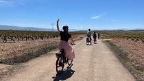 Rioja on Wheels - Discovering the Rioja Region with eBikes (from Bilbao & Rioja)