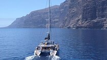 Whale Watching Catamaran to Los Gigantes & Masca (Including drinks & warm lunch)