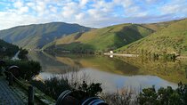 Douro Wine Route Experience, full-day from Porto