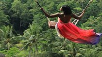 Tour: Ubud Monkey Forest-Jungle Swing-RiceTerrace-Tanah LotTemple