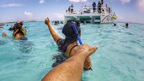Full-Day Catamaran Cozumel Tour with Sky Snorkeling