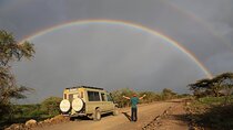 Budget Safari with a Lodge for 3 Days
