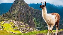 Machu Picchu Day Trip from Ollantaytambo & Urubamba