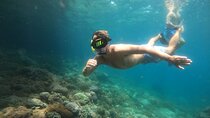 Full-Day Nusa Penida Snorkeling Adventure from Bali