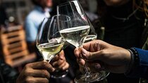 Wine Class and Tasting in Milan - Semi Private tour
