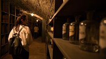 Historical Pharmacy Cellar Guided Tour 