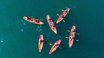 3 Hours Kayaking in Kotor Bay in Montenegro