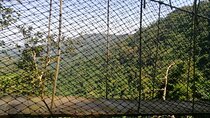 Full-Day Volta Experience ( Mount Gemi and Monkey Sanctuary) Private Tour