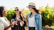 Winelands Explore Full Day Tour: Franschhoek, Paarl, Stellenbosch