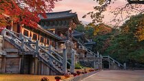 Full-Day Small Group GyeongJu History Tour from Seoul