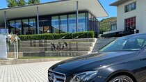 Private Day with English Speaking Chauffeur at Florence Outlet