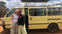 Private Adventure: Nairobi park, Elephants & Giraffe centre