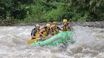 Sarapiqui rafting with organic farm