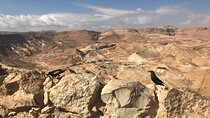 Dead Sea and Masada Day Tour
