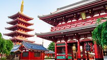 Private Tokyo Tour with Licensed Guide & Vehicle (Max 15 persons)